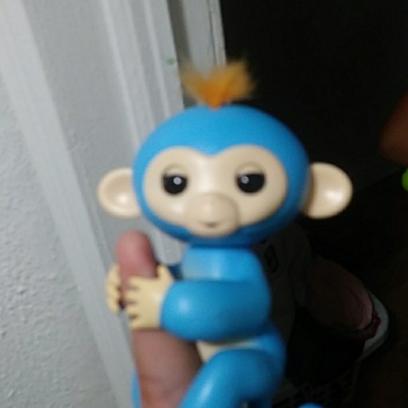 Fingerling - Picture 4 of 5